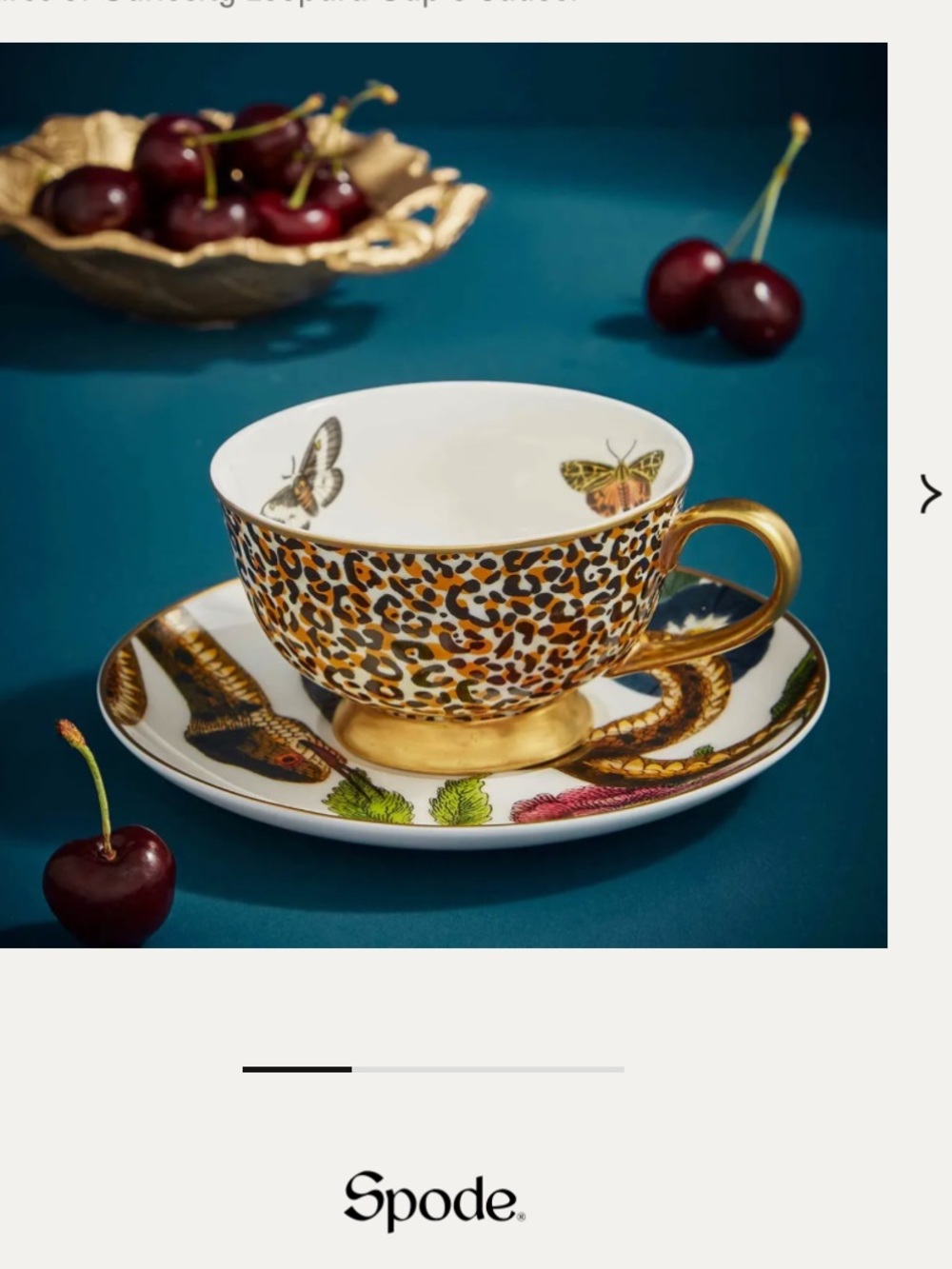 😍NIB Spode Leopard TeaCup & Saucer Set